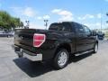 Black - F150 Lariat SuperCrew Photo No. 7