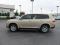 Sandy Beach Metallic - Highlander  Photo No. 1