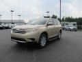 Sandy Beach Metallic - Highlander  Photo No. 2