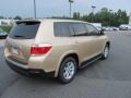 Sandy Beach Metallic - Highlander  Photo No. 4