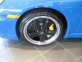 Pure Blue - 911 Speedster Photo No. 11