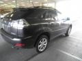 Smokey Granite - RX 350 AWD Photo No. 4