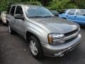 Graystone Metallic - TrailBlazer LS 4x4 Photo No. 1