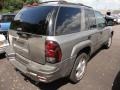 Graystone Metallic - TrailBlazer LS 4x4 Photo No. 6