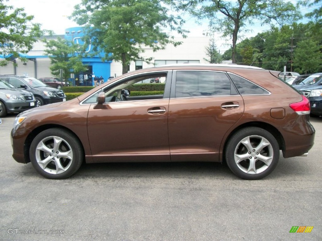 2009 Toyota venza sunset bronze