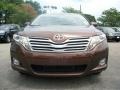 Sunset Bronze Mica - Venza V6 AWD Photo No. 5