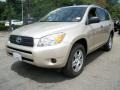 Savannah Metallic - RAV4 4WD Photo No. 4