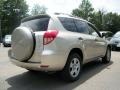 Savannah Metallic - RAV4 4WD Photo No. 8