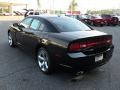 Pitch Black - Charger Rallye Plus Photo No. 2