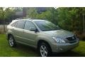 2007 Bamboo Green Pearl Lexus RX 350  photo #1