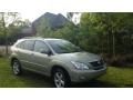 2007 Bamboo Green Pearl Lexus RX 350  photo #2