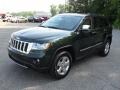 2011 Natural Green Pearl Jeep Grand Cherokee Limited 4x4  photo #1