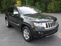 2011 Natural Green Pearl Jeep Grand Cherokee Limited 4x4  photo #5