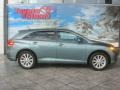 Aloe Green Metallic - Venza I4 Photo No. 1