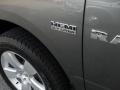 2011 Mineral Gray Metallic Dodge Ram 1500 Express Regular Cab  photo #6