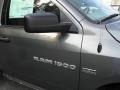2011 Mineral Gray Metallic Dodge Ram 1500 Express Regular Cab  photo #19