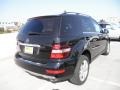 Black - ML 350 Photo No. 4