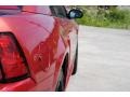 2002 Laser Red Metallic Ford Mustang V6 Coupe  photo #7