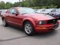 2005 Redfire Metallic Ford Mustang V6 Premium Coupe  photo #7