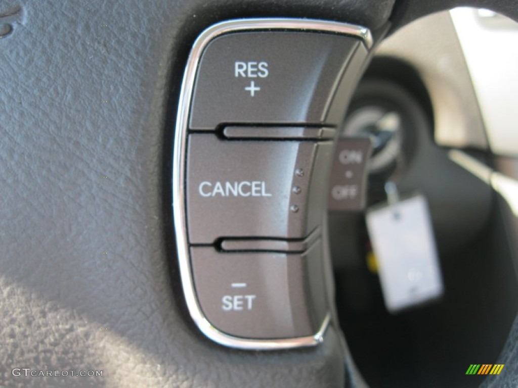 2009 Sonata GLS - Ebony Black / Gray photo #21