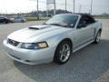 Silver Metallic 2004 Ford Mustang Gallery
