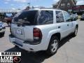 2007 Moondust Metallic Chevrolet TrailBlazer LS 4x4  photo #7