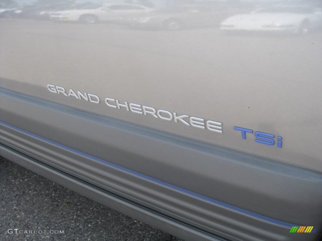 1998 Grand Cherokee TSi 4x4 - Bright Platinum / Black photo #15