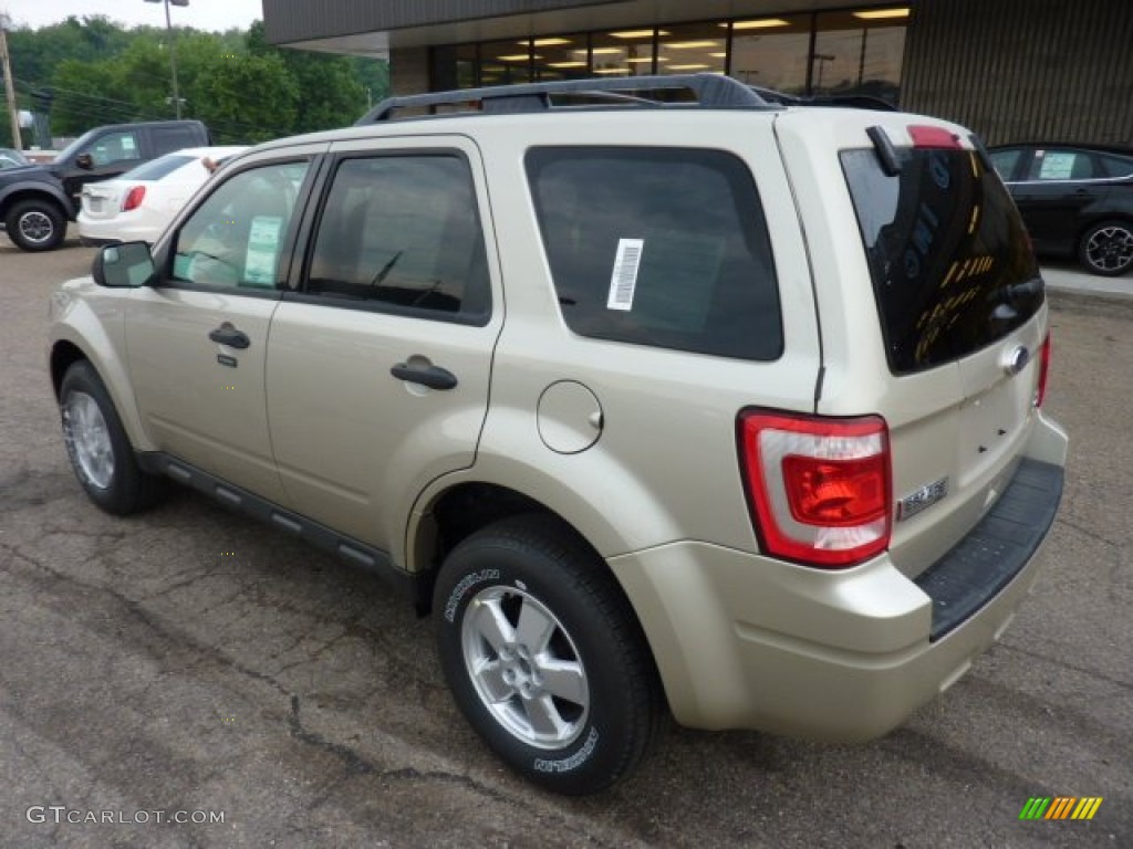 Gold Leaf Metallic 2012 Ford Escape XLT V6 4WD Exterior Photo #51738172