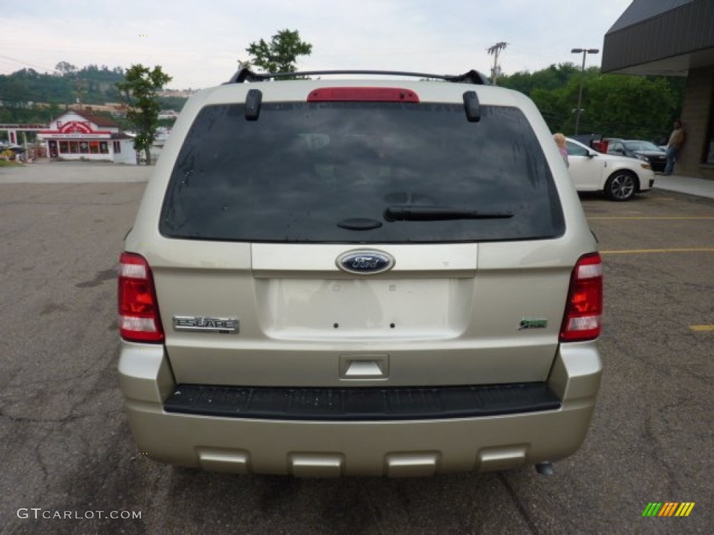 Gold Leaf Metallic 2012 Ford Escape XLT V6 4WD Exterior Photo #51738184