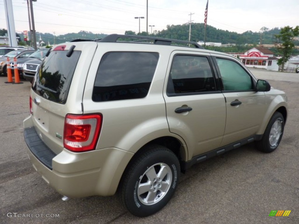 Gold Leaf Metallic 2012 Ford Escape XLT V6 4WD Exterior Photo #51738199