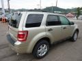 2012 Gold Leaf Metallic Ford Escape XLT V6 4WD  photo #4