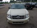 2012 Gold Leaf Metallic Ford Escape XLT V6 4WD  photo #7