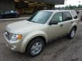 2012 Gold Leaf Metallic Ford Escape XLT V6 4WD  photo #8