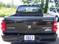 Brilliant Black Crystal Pearl - Dakota Big Horn Crew Cab 4x4 Photo No. 16
