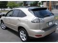 Savannah Metallic - RX 350 AWD Photo No. 9