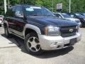 2008 Black Chevrolet TrailBlazer LT 4x4  photo #1