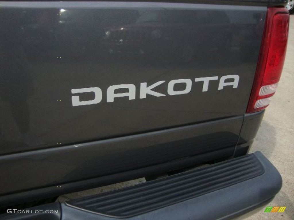 2004 Dakota Sport Regular Cab - Graphite Metallic / Dark Slate Gray photo #27