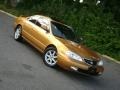 2001 Sundance Gold Metallic Acura CL 3.2 Type S  photo #29