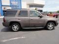 Desert Brown Metallic - TrailBlazer LT 4x4 Photo No. 8