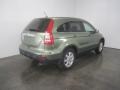 2007 Green Tea Metallic Honda CR-V EX-L 4WD  photo #9