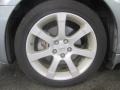 2007 Precision Gray Metallic Nissan Maxima 3.5 SE  photo #8