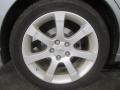2007 Precision Gray Metallic Nissan Maxima 3.5 SE  photo #17