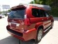 Salsa Red Pearl - GX 470 Photo No. 5
