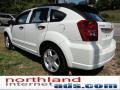 Stone White - Caliber SXT Photo No. 6