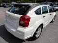 Stone White - Caliber SXT Photo No. 6