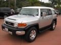 Titanium Metallic - FJ Cruiser  Photo No. 1