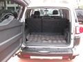 Titanium Metallic - FJ Cruiser  Photo No. 12