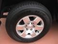 Titanium Metallic - FJ Cruiser  Photo No. 15