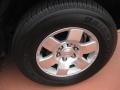 Titanium Metallic - FJ Cruiser  Photo No. 16