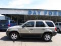 2003 Gold Ash Metallic Ford Escape XLT V6 4WD  photo #2